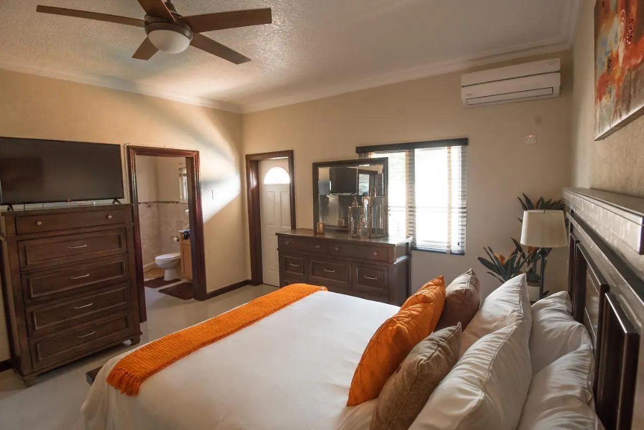 Luxury City View Rental In Kingston