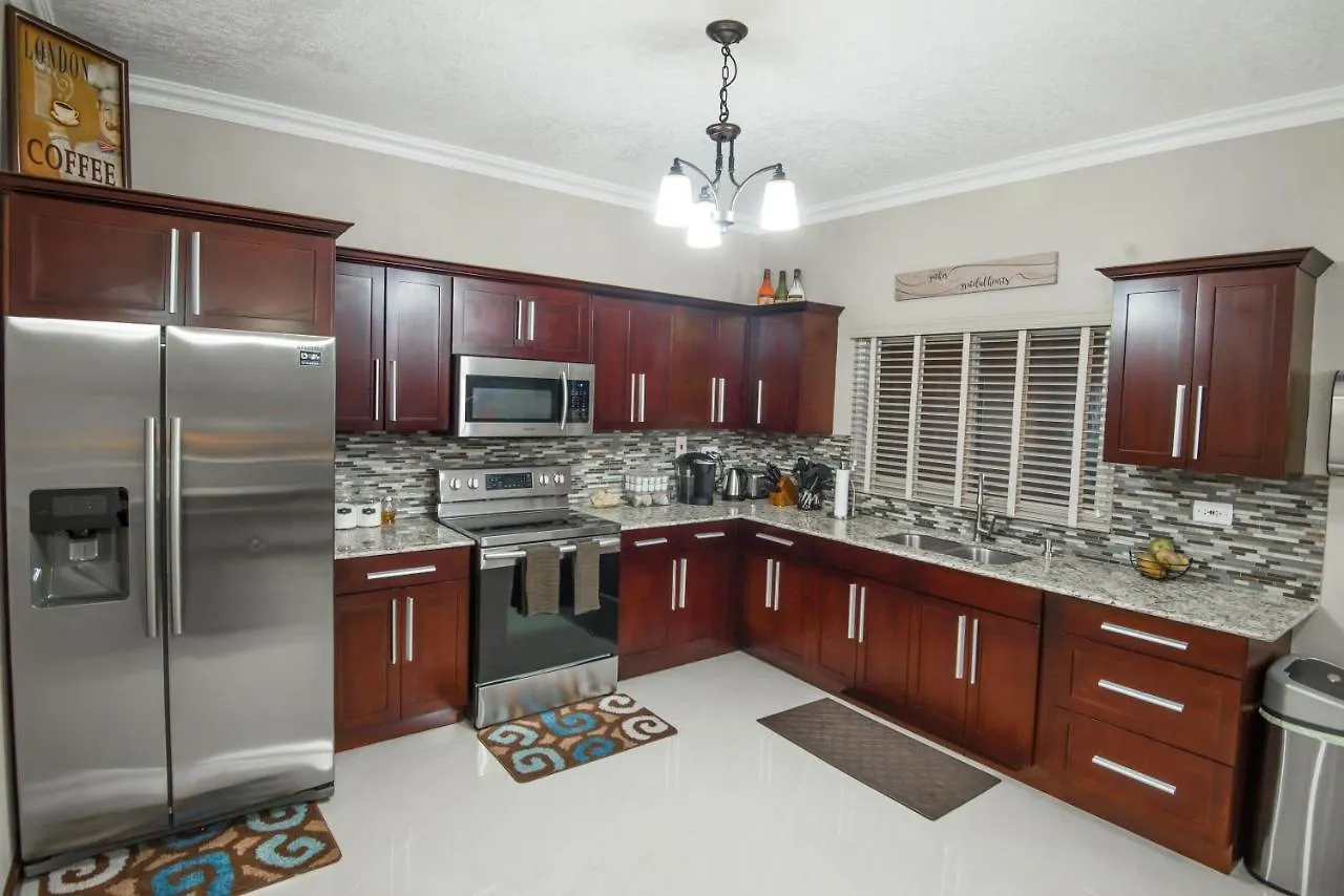 Luxury City View Rental In Kingston Appartement